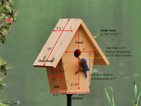 blue bird house with metal clad opening|bluebird house sizes.